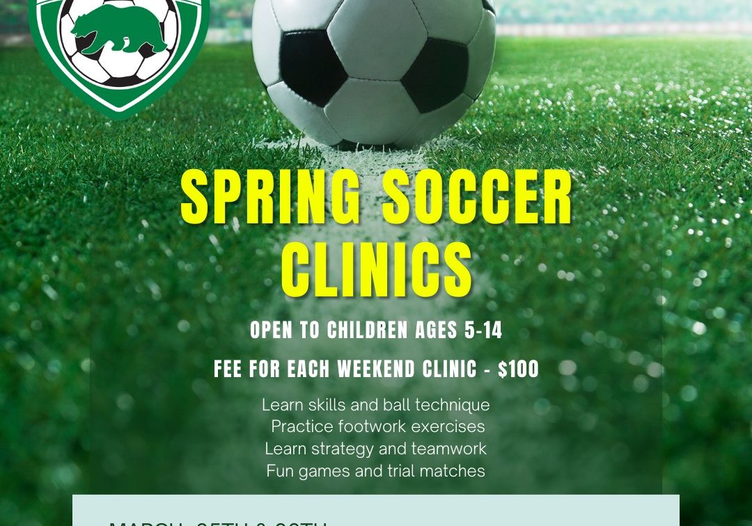 Spring Clinics